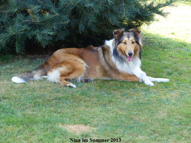 a_P1040260-NINA-2016