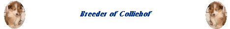 Breeder of Colliehof