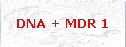 DNA + MDR 1