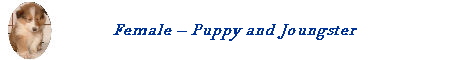 Female -- Puppy and Joungster