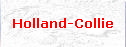 Holland-Collie