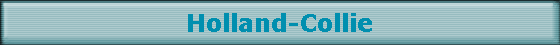 Holland-Collie