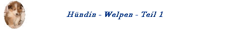 H�ndin - Welpen - Teil 1