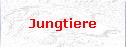 Jungtiere