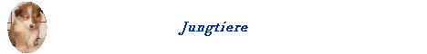 Jungtiere