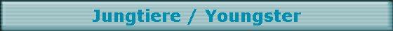 Jungtiere / Youngster