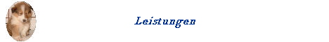 Leistungen