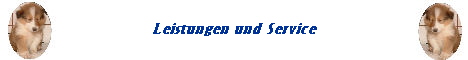 Leistungen und Service