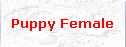 Puppy Female