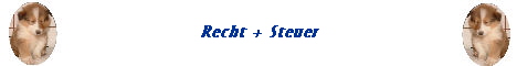 Recht + Steuer