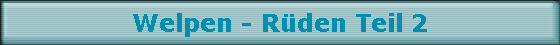 Welpen - R�den Teil 2