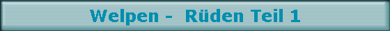 Welpen -  R�den Teil 1