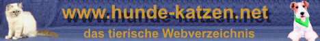 banner-hunde-katzen[1]