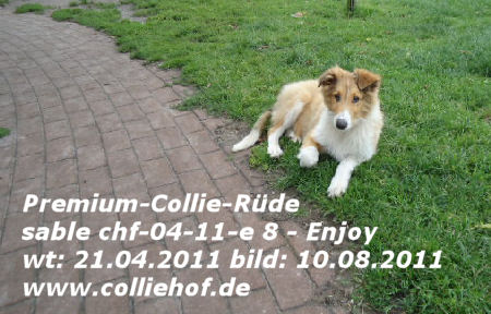 e8-2011-n-enjoy
