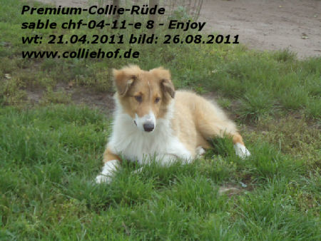 e8-2011-p-enjoy
