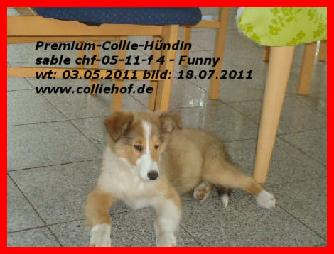 f4-2011-j-funny