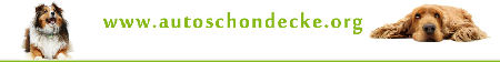 h1-autoschondecke
