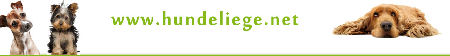 h1-hundeliege