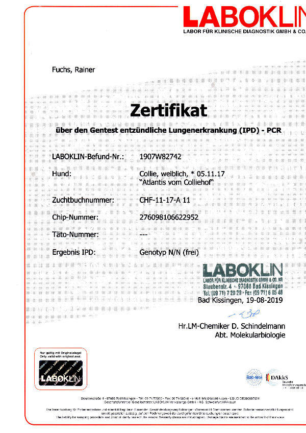 img003-Atlantis-IPD (2)