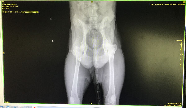 img_5240-hd-Atlantis-hd